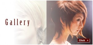 ギャラリー